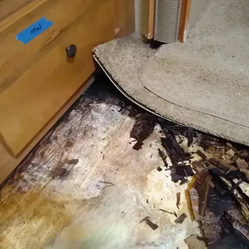 Wood Floor Water Damage in Bullhead City, AZ